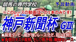 【神戸新聞杯2024】予習動画 前走ダービー組とこのレースで圧倒的な成績を上げる友道厩舎