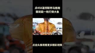 凝胶假人实验揭秘：点458温彻斯特马格南子弹为何能让大象一击毙命#综艺 #解说 #解說