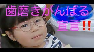 歯磨きがんばる宣言‼️いいね🩷｜予防歯科　原歯科医院【調布市・八雲台・布田駅】