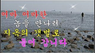 지옥의 갯벌에 들어가야 이놈을 만날 수 있다.