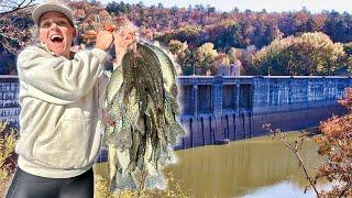 Want To Catch and Eat SLAB CRAPPIE This Fall??? WATCH THIS!! -- Bank Fishing CATCH & COOK!