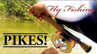 Sage & Redington: Fly fishing for Pikes!