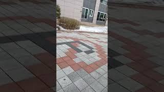3월5일 인데 눈 진짜많이 내렸어요!