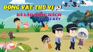 Bà lão hống hách và cái kết mãn nguyện! | #kienthucthuvi #haihuoc #hoathinhvuinhon