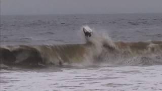 MICHAEL SEGOVIA BODYBOARD
