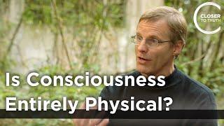 Giulio Tononi - Is Consciousness Entirely Physical?