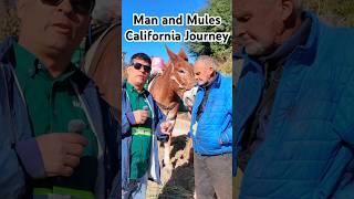 Man and Mules California Journey