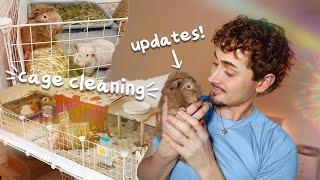 Daily Pet Vlog!  cage cleaning, updates & more