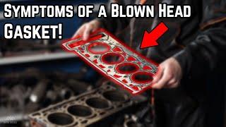 Signs & Symptoms of a Blown Head Gasket!