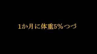 【100日ダイエット】王道ダイエットで痩せてみた【18kg減】