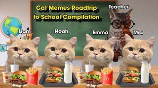 Cat Memes Roadtrip to School Compilation