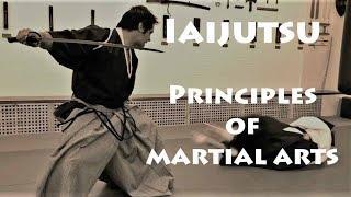 IAIJUTSU - BEST MARTIAL ARTS BY METIN KAYAR​ [Part 4 of 7]