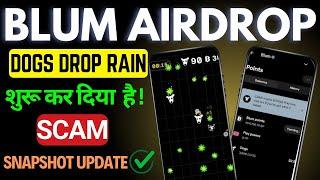 blum dogs drop scam exposed | blum airdrop snapshot update | blum listing price | #blumdogsairdrop