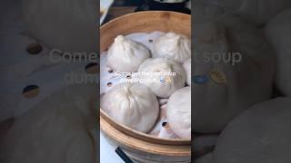 The best soup dumplings in NJ #njeats #njfood #soupdumplings #nyc #njfoodie #njspots #chinesefood