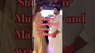 Love is in the air! Sheheryar Munawar and Maheen wedding ️️ #shortsfeed #wedding