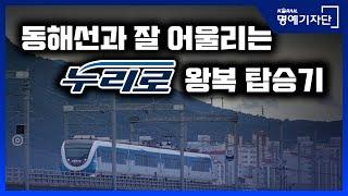 [한국철도Ⅹ경산역 Gyeongsan Station] 동해선과 잘 어울리는 누리로 열차를 타보았습니다!