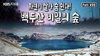 혹독한 겨울을 이겨내고 찾아온 백두산의 봄! 태고의 자연이 살아 숨 쉬는 백두산 원시림의 신비로운 생태와 희귀 동식물의 세계 (KBS 20150718 방송)