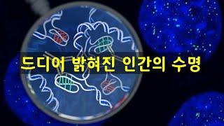 DNA 분석 결과 인간의 수명은 원래 38세였다. [신박과학]