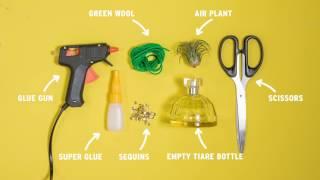 How To  Upcycled Pineapple Planter   The Body Shop Jeddah