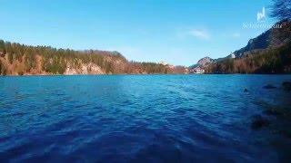 Schloss Neuschwanstein - Am Alpsee in Hohenschwangau