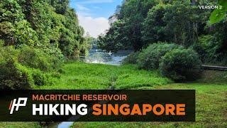 [Hiking Singapore] MacRitchie Reservoir