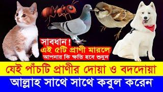 যেই ৫টি প্রাণীর দোয়া ও বদদোয়া আল্লাহ সাথে সাথে কবুল করেন! তাই এদের বিষয়ে সাবধান!