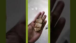 vacuum frying vegetable and fruit chips fryer