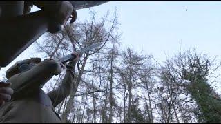 The Shooting Show - spectacular game shooting at Chargot Estate