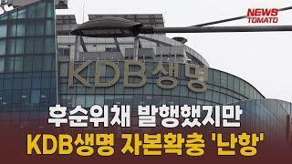 KDB생명 후순위채 발행에도 자본확충 '난항' [말하는 기자들_경제 & 금융_0920]