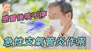 感冒後咳不停 臺大醫：原來是急性支氣管作祟｜好心肝·好健康