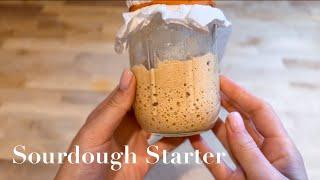 How to Make a Sourdough Starter from Scratch | Easy Step-by-Step Guide