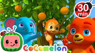 Grow Grow Grow Your Fruit (Animal Version) |  CoComelon Animal Time - Learning with Animals