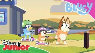 Let's Roll | Bluey  | Disney Junior MENA