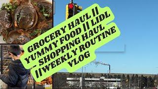 Grocery Haul || yummy food || luch and dinner recipe || Lidl shopping haul ||Weekly Routine Vlog