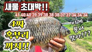 새물 초대박 사건!/인생 낚시 초대박 사건!/다신 없을 영광!/이게 붕어 맞아??