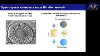 Development of water filters using plant xylem: 2021 MIT World Water Day video competition