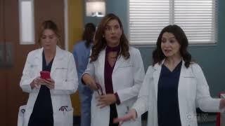 Greys Anatomy 18x16 Addison Montgomery Returns