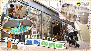 【住得安心】佐敦區全新妥善貼心狗酒店Ruff & Fetch