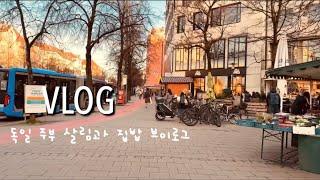 독일 뮌헨vlog | 오늘은 뭐 먹지? 맛있는 집밥 브이로그 (닭백숙, 인도카레와 난, 불고기 김밥, 감자 샐러드) / 끊임없이 사는 주방 도구 / 살림 브이로그