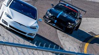 GT350 vs Tesla Model S Freedom Factory Spectator Drags // TBERG media with coverage!