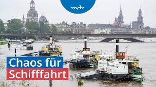 Nach Einsturz der Carolabrücke: Weiße Flotte kritisiert Dresdner Stadtverwaltung | MDR um 2 | MDR