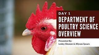 VPI DAY 1 | Department of Poultry Science Overview