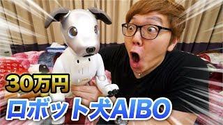 【30万円】我が家に犬がやってきた！【AIBO】