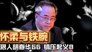 狠人胡春华66 镇压起义8 怀柔与铁腕