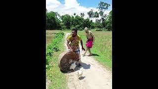 Bangla Comedy Video Arif Comedy