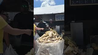 Sugarcane drinks at ICOT Market Tampa Florida USA