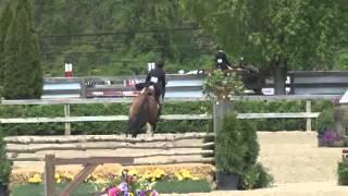 Video of MAITRE D' ridden by AMANDA STEEGE from ShowNet!