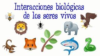 Interacciones biológicas de los seres vivos [Fácil y Rápido] | BIOLOGÍA |