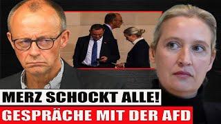 März schockt alle – Gespräche mit der AFD! CDU wird weichgespült, verbogen!