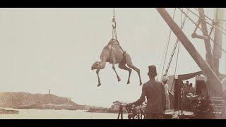 The Royal Commonwealth Society photograph collection